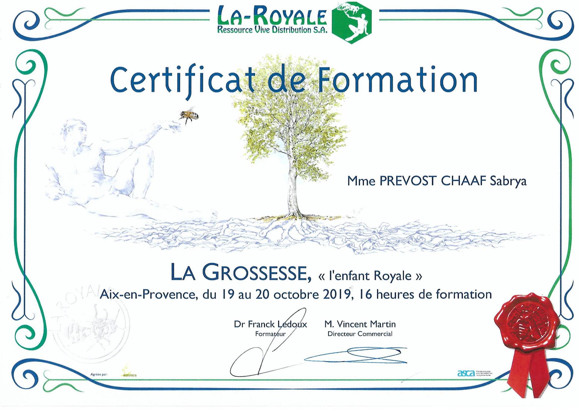 Certificat de formation grossesse sabrya chaaf naturopathe