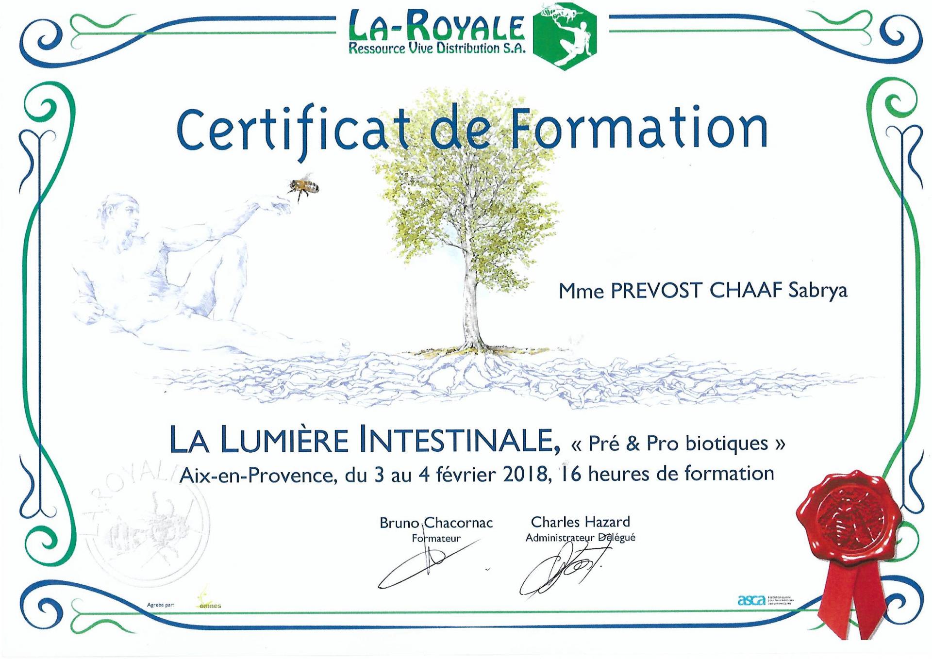 Certificat de formation intestin sabrya chaaf naturopathe
