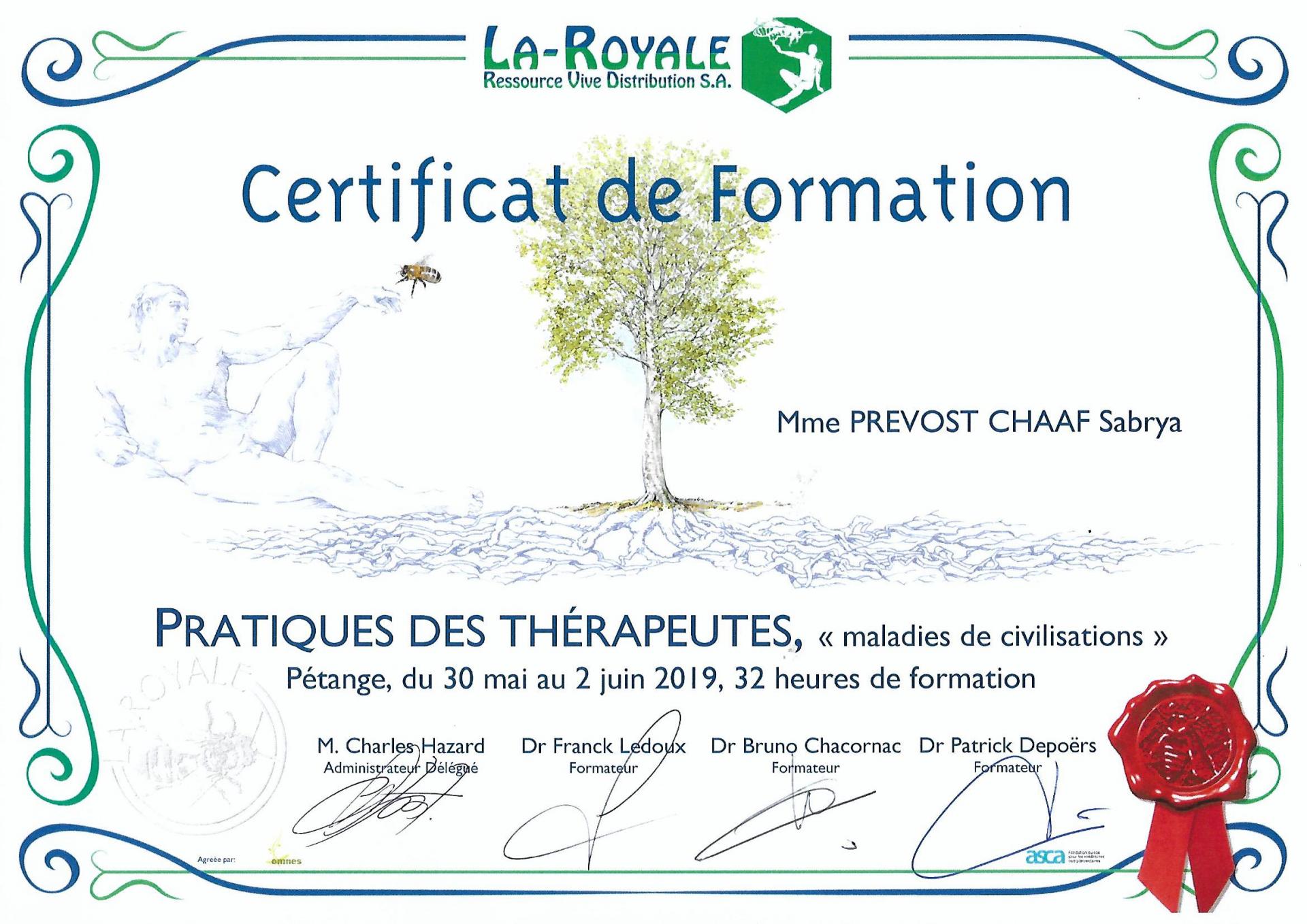Certificat de formation maladies de la civilisation sabrya chaaf naturopathe