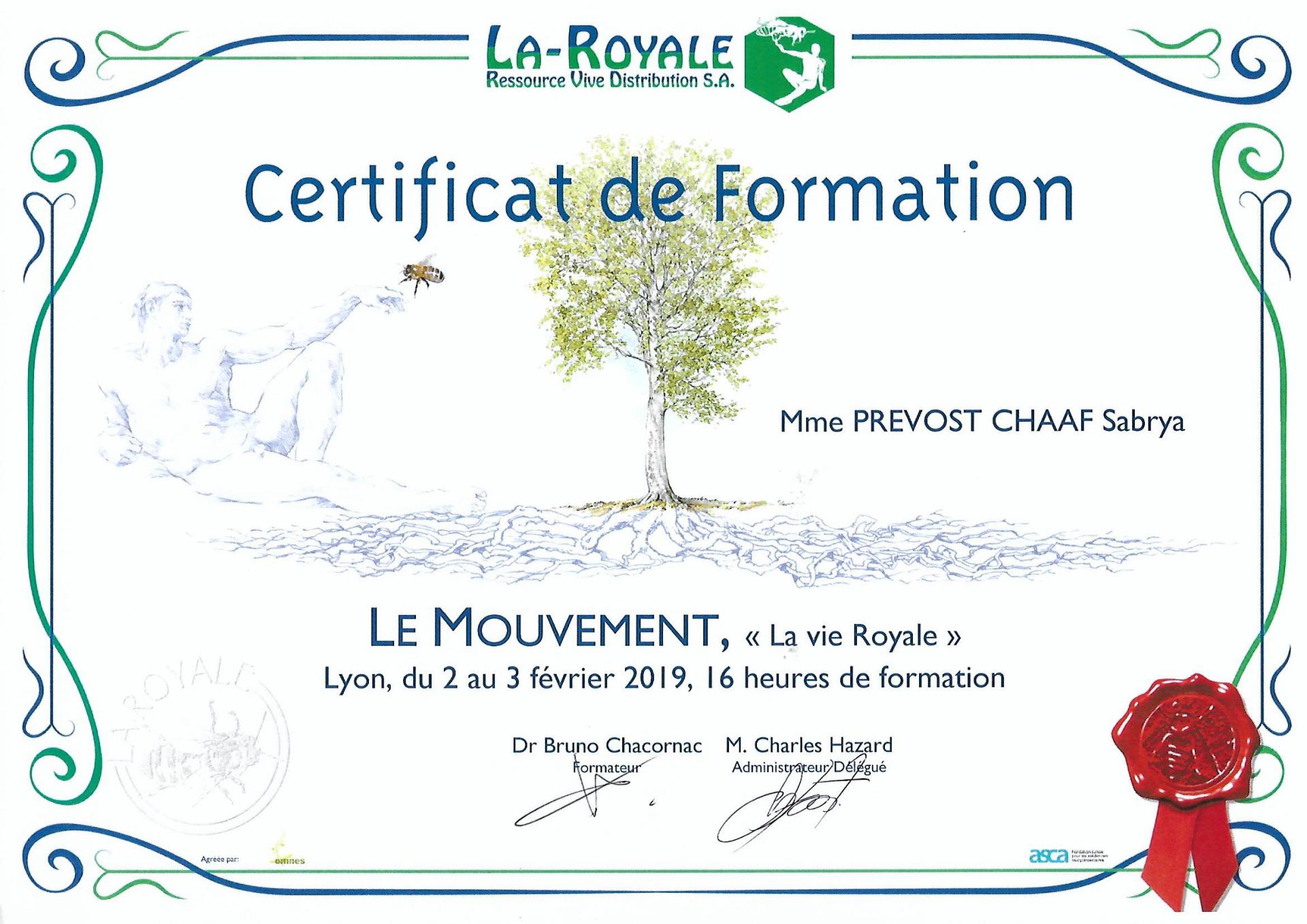 Certificat de formation sur le mouvement sabrya chaaf