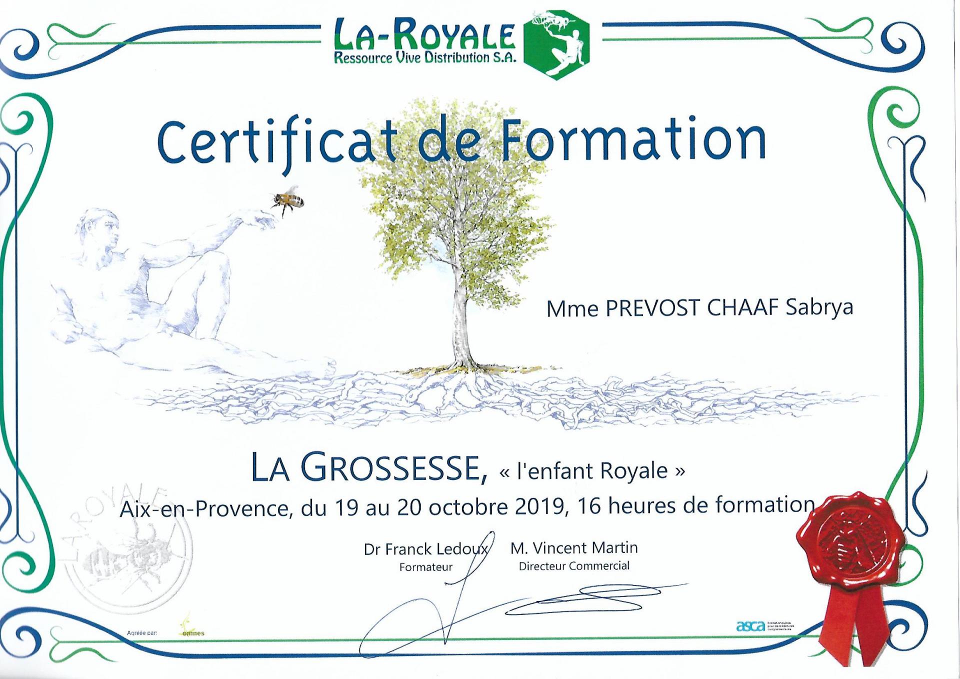 Certificat de formation la grossesse sabrya chaaf 3