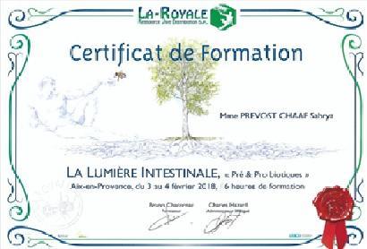 Lumiere intestin 1